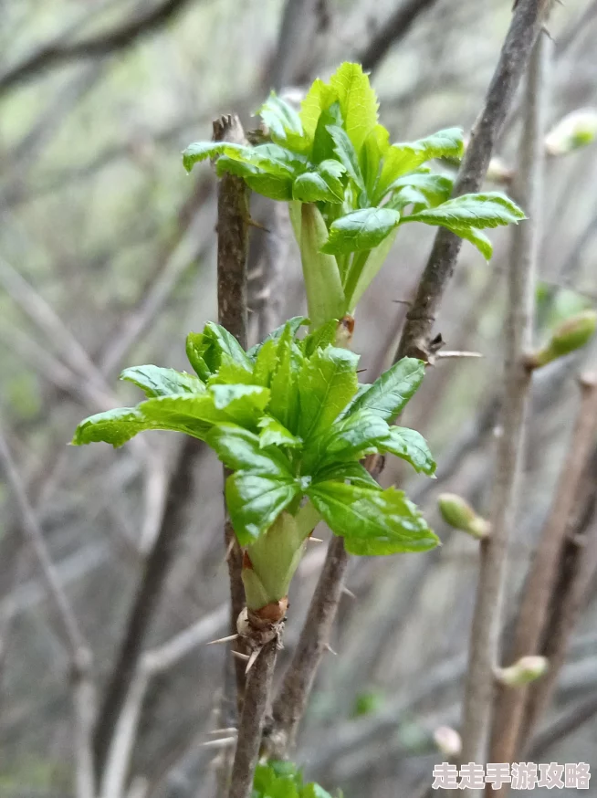 青草久草内容涉嫌违规已被屏蔽 青草久草内容涉嫌违规已被屏蔽
