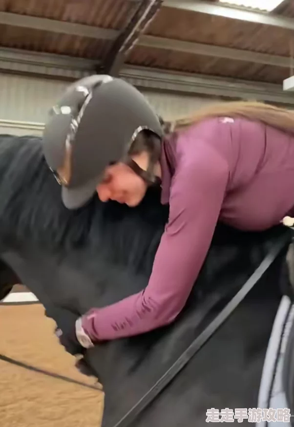 美母骑士完整版泄露完整资源在线观看 美母骑士完整版泄露完整资源在线观看