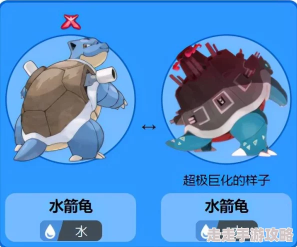 爆料!宝可梦大集结:水箭龟顶尖持有物与道具搭配推荐 爆料!宝可梦大集结:水箭龟顶尖持有物与道具搭配推荐