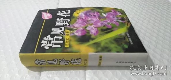 野花影院手机观看资源丰富更新及时画质清晰流畅度高方便快捷