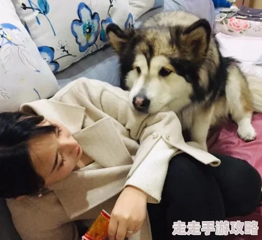 隔壁邻居是个漂亮的小姐姐可惜她养的狗总是在半夜狂吠扰民