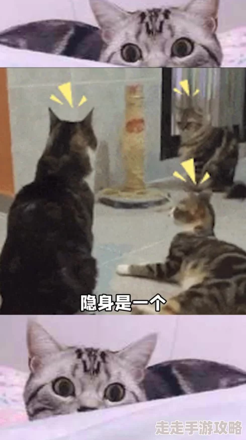 隔壁邻居是个漂亮的小姐姐可惜她养的狗总是在半夜狂吠扰民