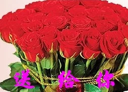 宫部凉花被曝曾匿名捐款百万资助流浪动物收容所