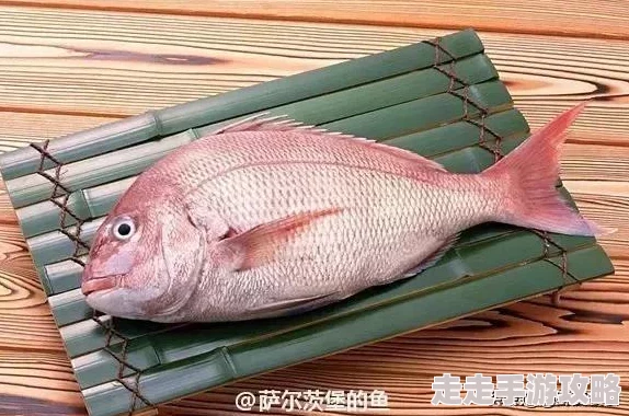 微微三国全攻略大全:独家爆料新版本武将与策略解析 微微三国全攻略大全:独家爆料新版本武将与策略解析