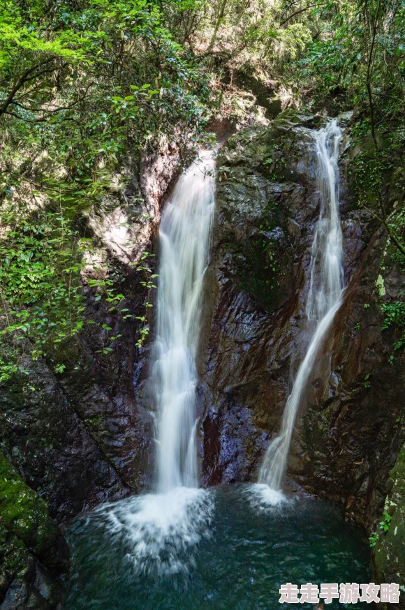 追她上乖黑暗森林的小说免费阅读完整版《追她上乖黑暗森林》限时免费所有章节解锁