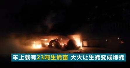 凌晨三点3韩国电影免费观看画质差资源模糊广告多体验不佳浪费时间 凌晨三点3韩国电影免费观看画质差资源模糊广告多体验不佳浪费时间