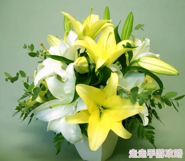 绽放吧，百合电视剧全集免费高清完整版现已上线