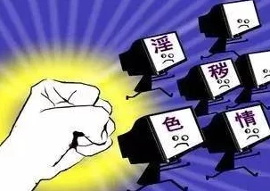“毛片大片免费看”涉嫌传播淫秽色情信息，已被举报，相关部门正在调查处理。