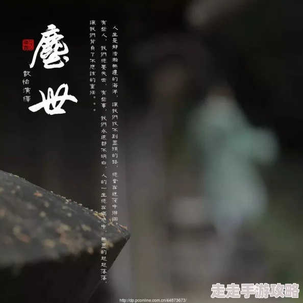 归龙潮珍闻揭秘：杯中留尘世修习速成攻略大爆料