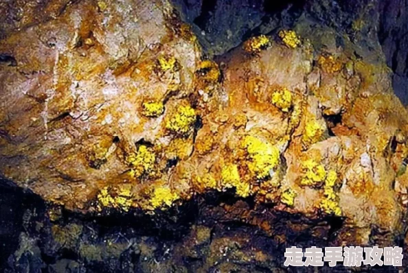 《冰原守卫者》矿区刷图攻略:全面解析资源获取与隐藏宝藏爆料 《冰原守卫者》矿区刷图攻略:全面解析资源获取与隐藏宝藏爆料