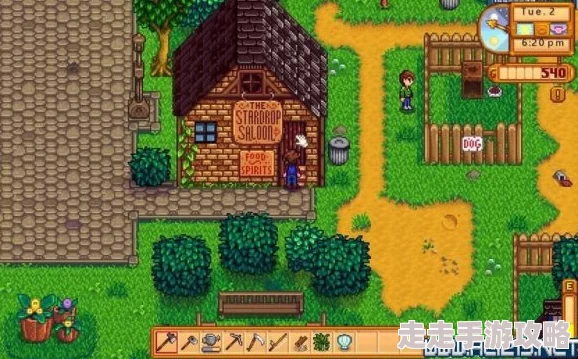 星露谷物语:揭秘两大戒指护符与幸运,哪个更适合你? 星露谷物语:揭秘两大戒指护符与幸运,哪个更适合你?