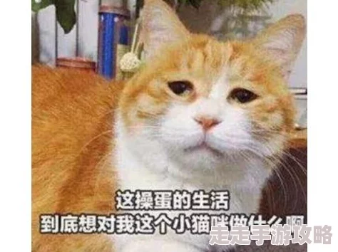 2025怪物猎人世界随从猫技能大全，艾露猫技能升级攻略与追踪达人养成