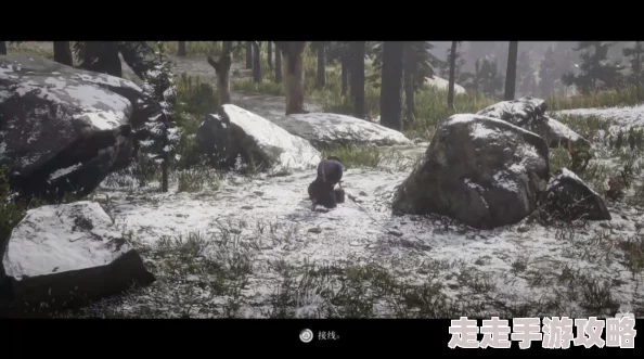 2025年荒野大镖客2背包扩大与升级全新方法详解