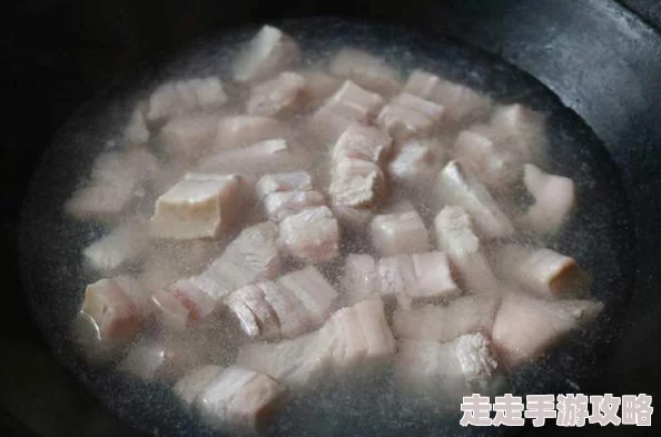 2025年掌握最新技巧，轻松收服阿芝莎的全方位指南